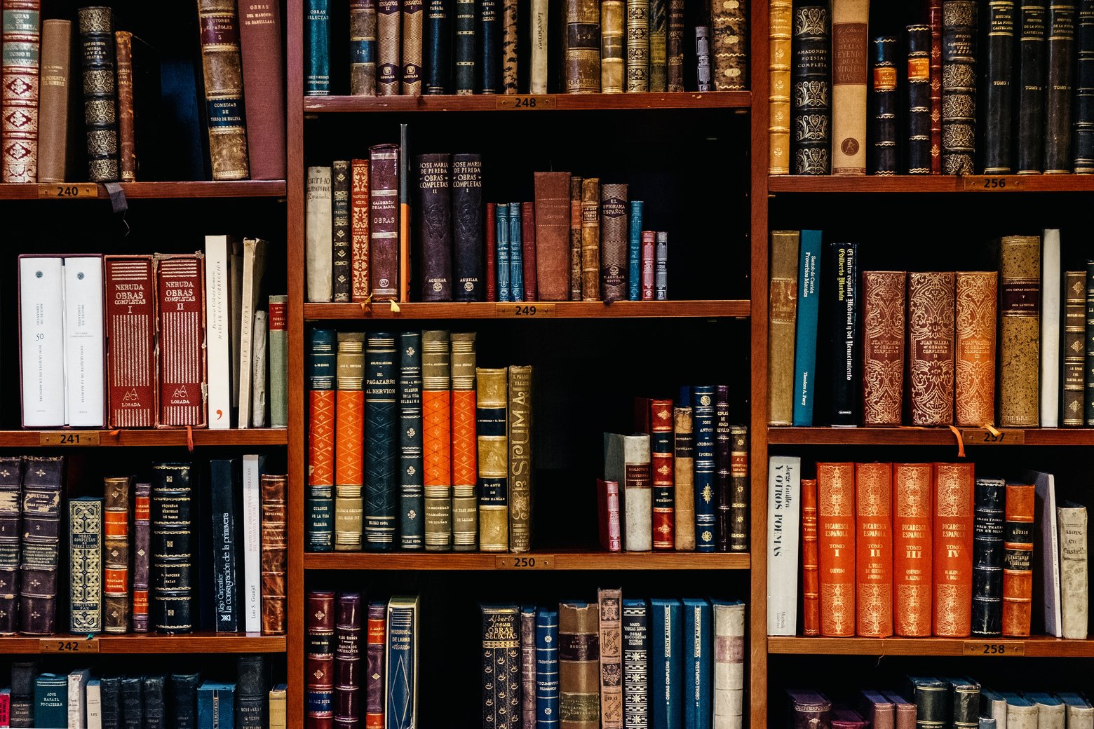 book shelf, indoors